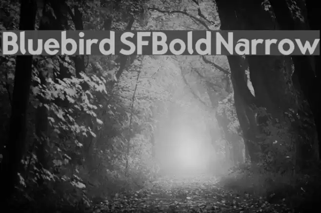 Bluebird SFBold Narrow Font examples