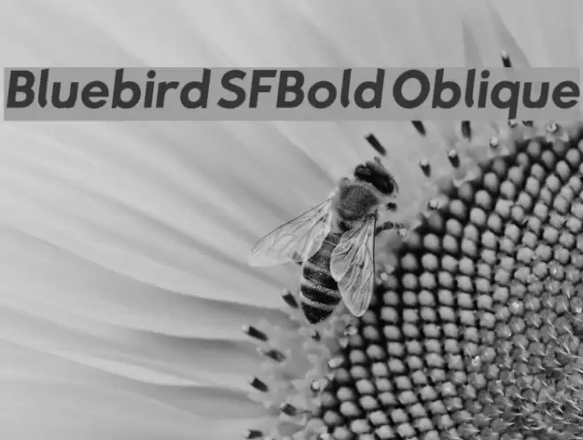 Bluebird SFBold Oblique  examples