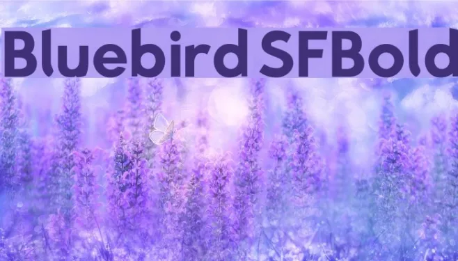 Bluebird SFBold Example 2