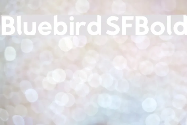 Bluebird SFBold Example 3