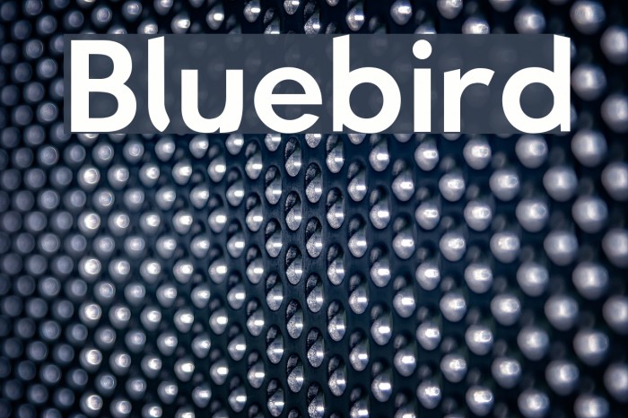 Bluebird Font examples