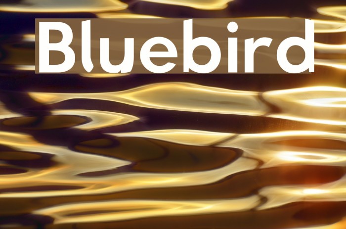 Bluebird Font examples