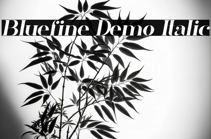 Bluefine Demo Italic Example 1