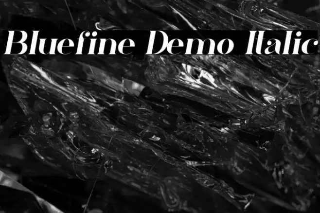 Bluefine Demo Italic Font examples