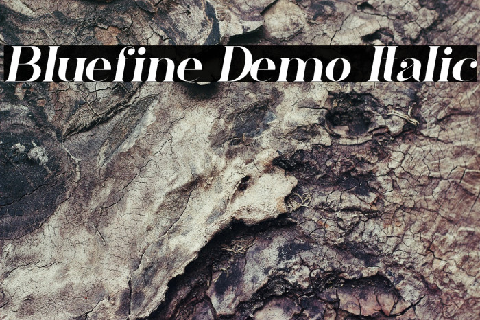 Bluefine Demo Italic Example 3