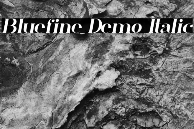 Bluefine Demo Italic Font examples