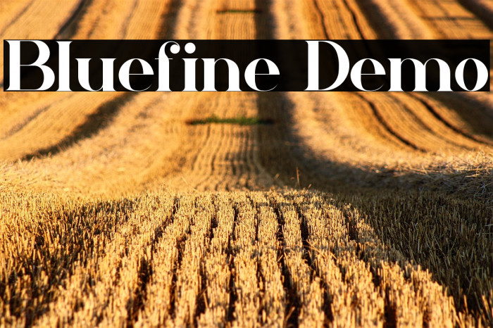 Bluefine Demo Example 2