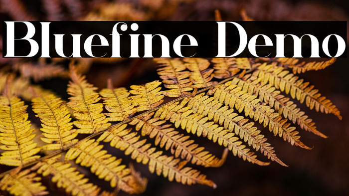 Bluefine Demo Example 3