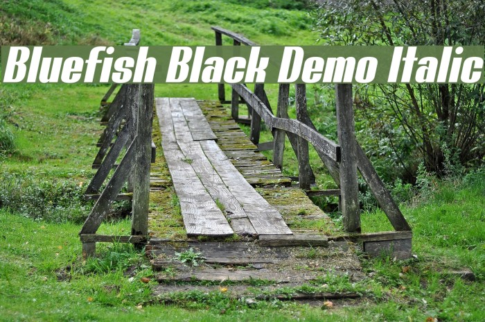 Bluefish Black Demo Italic Example 1