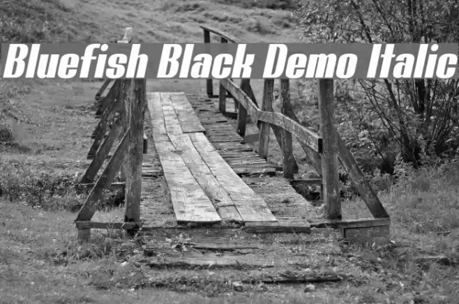 Bluefish Black Demo Italic Font examples
