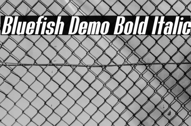 Bluefish Demo Bold Italic Font examples