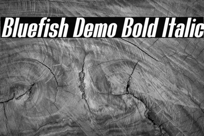 Bluefish Demo Bold Italic Font examples
