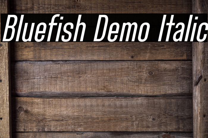 Bluefish Demo Italic Font examples