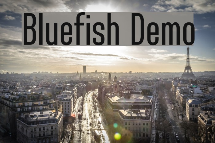 Bluefish Demo Font examples