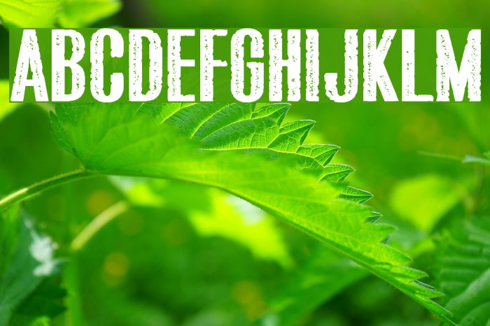 Bluefish ERODED DEMO Font examples