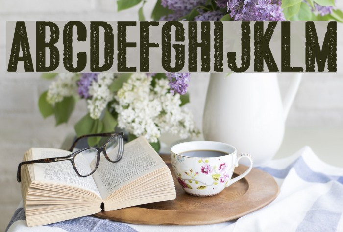 Bluefish ERODED DEMO Font examples