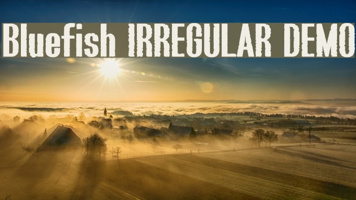 Bluefish IRREGULAR DEMO Font examples