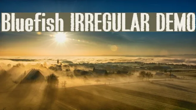 Bluefish IRREGULAR DEMO Example 1