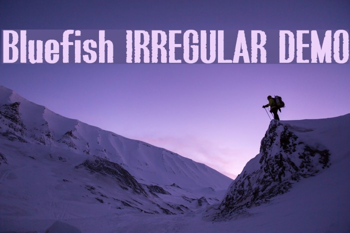 Bluefish IRREGULAR DEMO Font examples