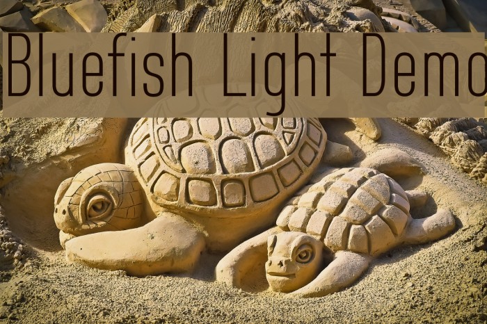 Bluefish Light Demo Font examples
