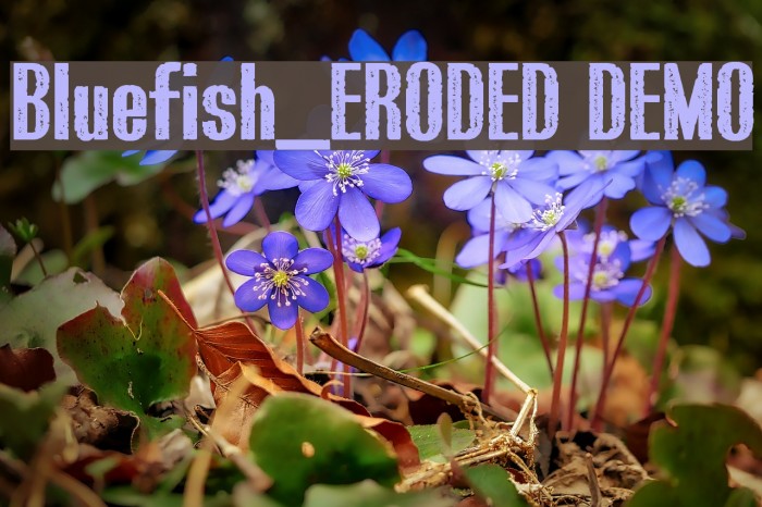 Bluefish_ERODED DEMO Font examples