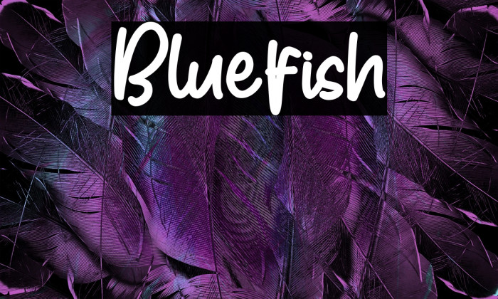 Bluefish Example 1