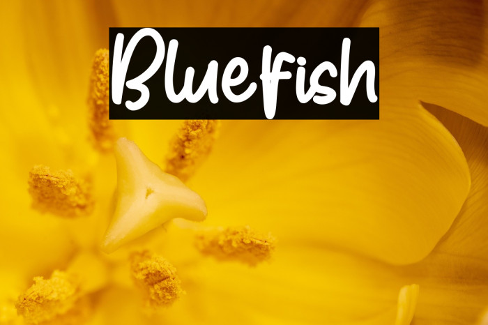 Bluefish Example 3