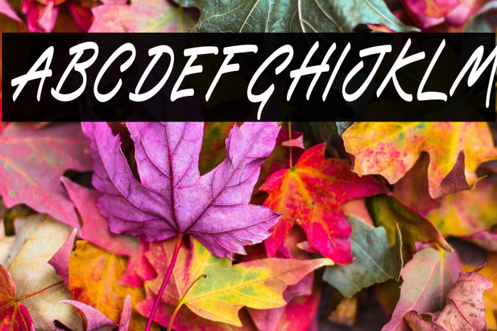 Blueflare DEMO Example 3