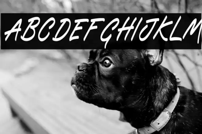 Blueflare フォント examples