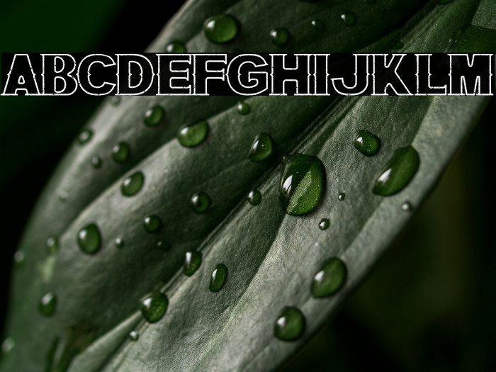 Bluegrass OUTLINE Example 1