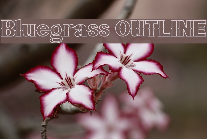 Bluegrass OUTLINE Example 2