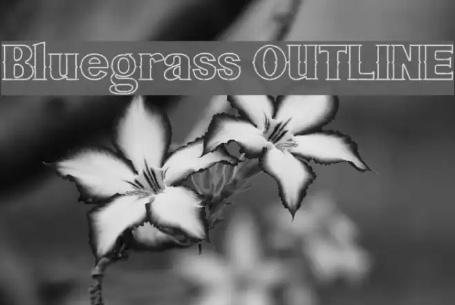 Bluegrass OUTLINE Font examples
