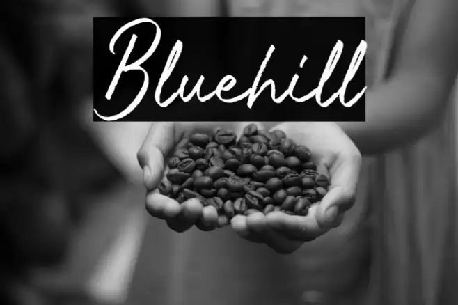 Bluehill Font examples