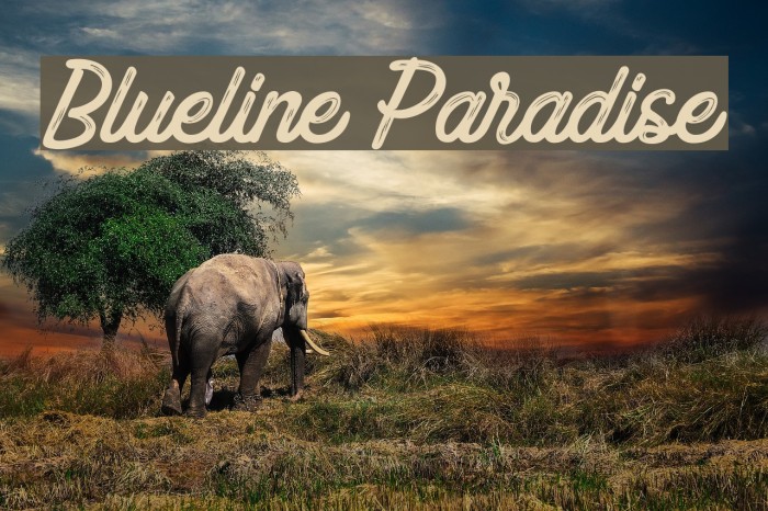 Blueline Paradise फ़ॉन्ट examples