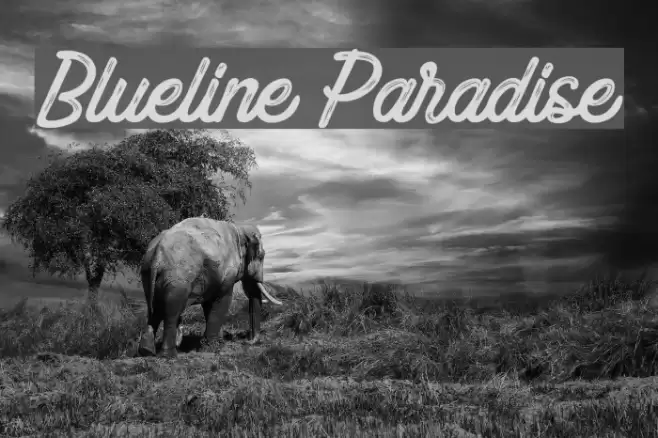 Blueline Paradise Font examples