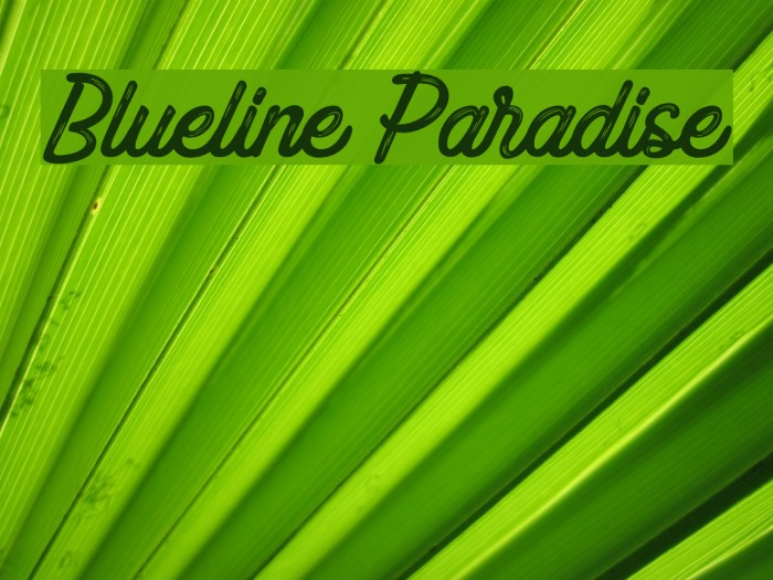 Blueline Paradise फ़ॉन्ट examples