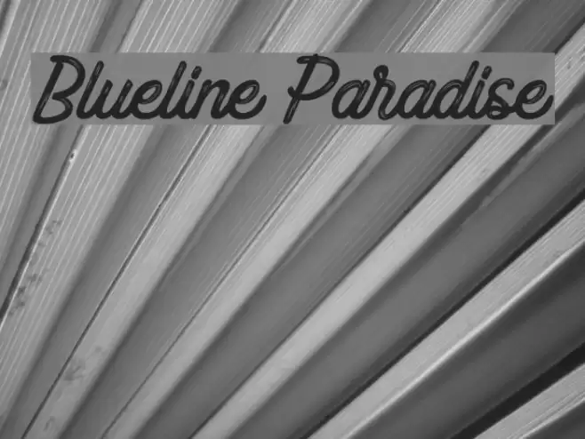 Blueline Paradise Font examples