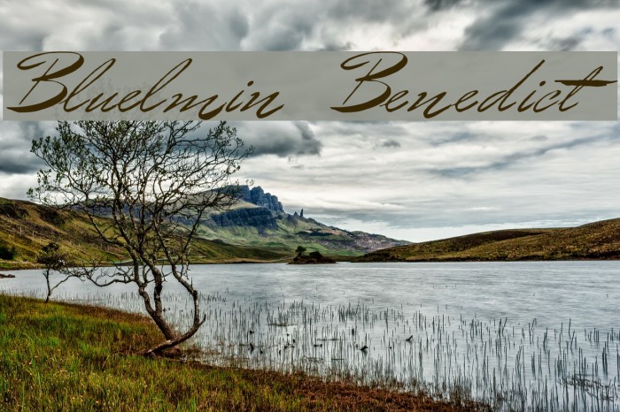 Bluelmin Benedict Example 1