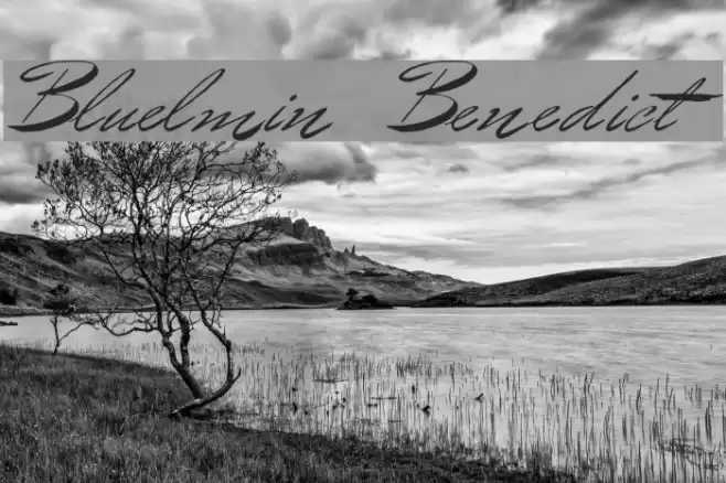 Bluelmin Benedict Font examples