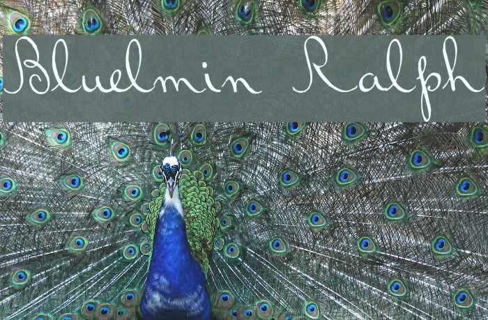 Bluelmin Ralph Font examples
