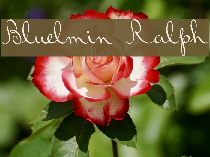 Bluelmin Ralph Font examples