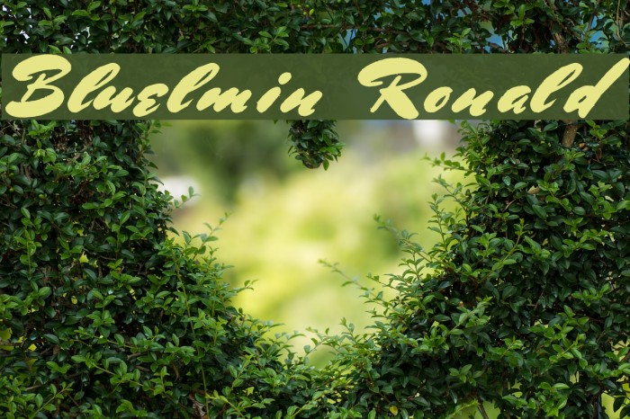 Bluelmin Ronald Font examples