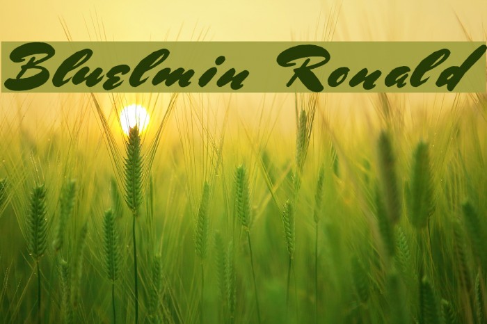 Bluelmin Ronald Font examples