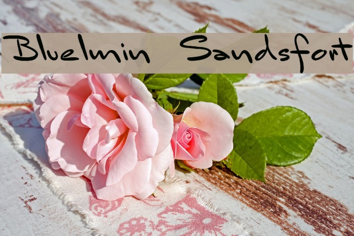 Bluelmin Sandsfort Example 1