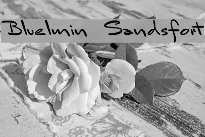 Bluelmin Sandsfort Font examples