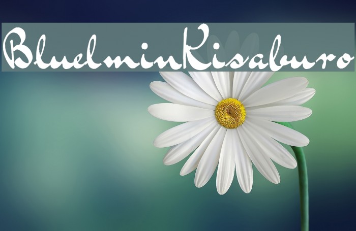 BluelminKisaburo Example 1