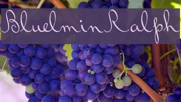 BluelminRalph Example 1