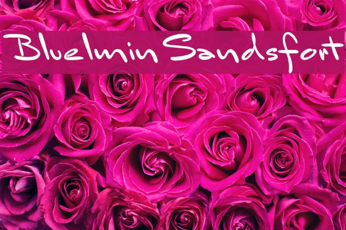 BluelminSandsfort Font examples