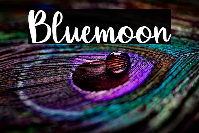 Bluemoon Example 1