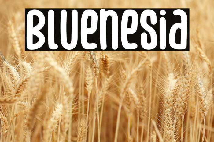 Bluenesia Example 1